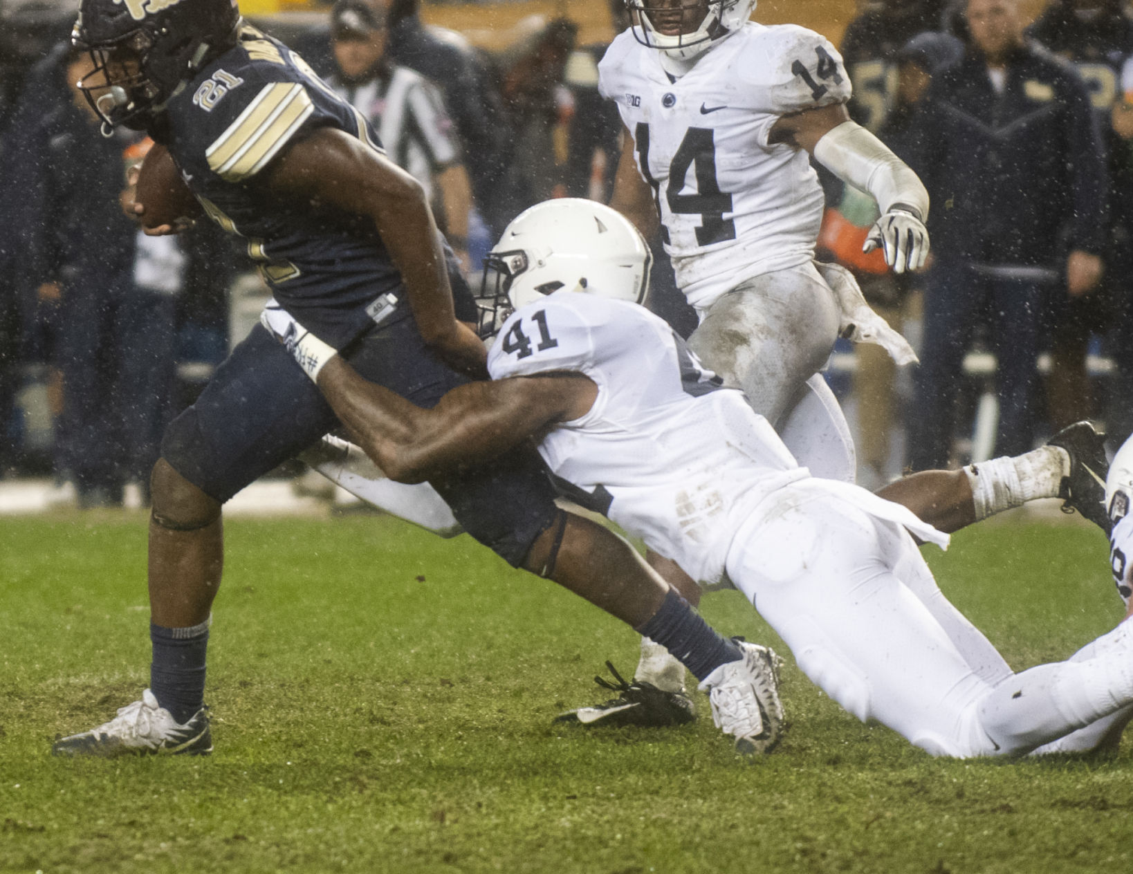 Pitt, Darien (41)